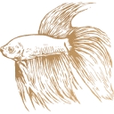 Baan Personeelsdiensten b.v. logo