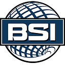 Babbitting Service Inc logo