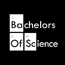 Bachelors Of Science in Business Adminstration major in Marketing Management