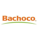 Favicon of Bachoco