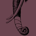 Back Bay Veterinary Clinic logo