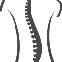 BACKLAxx International logo