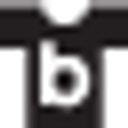 Logo for backstreetmerch.com