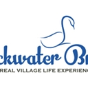 Favicon of BackwaterBrook