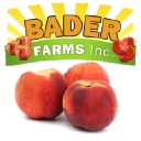 Bader Farms Inc logo