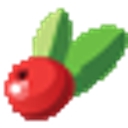 BADGER STATE FRUIT PROCESSING INC