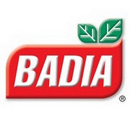 Badia Spices, LLC logo