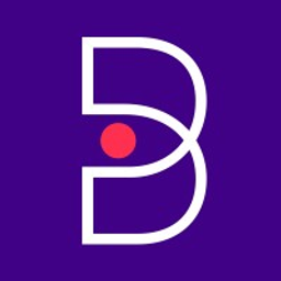 THE BAER GROUP logo