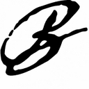 Bagasi SE logo