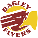 logo of Bagley Independent School District 162