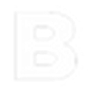 Logo for baiia.co