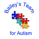 Baileys Team Inc logo