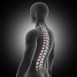 Baker Chiropractic and Wellness logo