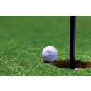 Favicon of Baker's Custom Golf