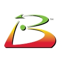 Balanced Scorecard Institute logo