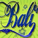 Balifornian Tours logo