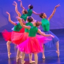 Ballet Des Amériques School & Company, Inc. logo