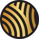 BALLET WICHITA INC logo