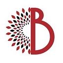 Favicon of Ballistic Media Group