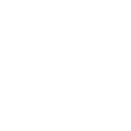 Balloon Museum logo