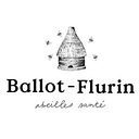 Ballot Force logo