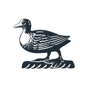 Ballyfin logo