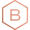 Balthorne Security Services Ltd logo
