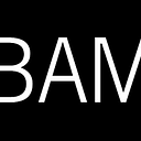 BROOKLYN ACADEMY OF MUSIC INC