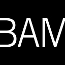 BROOKLYN ACADEMY OF MUSIC INC