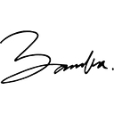 Favicon of Bamba Swim