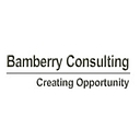 Bamberry Consulting logo