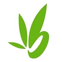 Bamboo Remodeling logo
