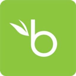 bamboohr-payroll logo