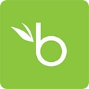 bamboohr.com icon