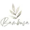 Bambusa Australia