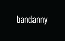 bandanny.com logo