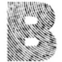 Block and Tackle Carpentry LTD logo