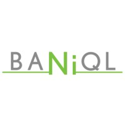 Baniql CORP. logo