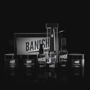 Banish logo