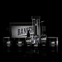 Banish logo