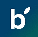 bankfinder.se logo