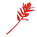 Bank Of Jackson Hole logo