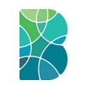 Banna Property Group logo