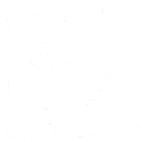 bannedskateshop.com logo