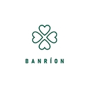 Banríon Capital Management Inc.