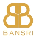 Logo for bansridesigns.com