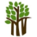 Banyan Health logo