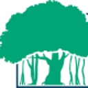 Banyan Health Systems logo