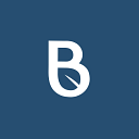 Banyaninfrastructure logo
