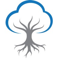 Banyan Medical Systems, LLC logo